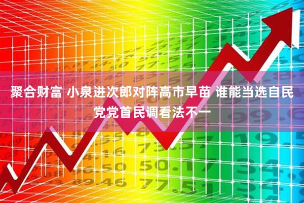 聚合财富 小泉进次郎对阵高市早苗 谁能当选自民党党首民调看法不一