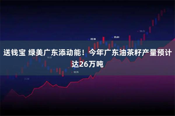 送钱宝 绿美广东添动能！今年广东油茶籽产量预计达26万吨