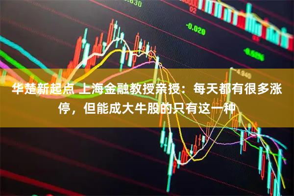 华楚新起点 上海金融教授亲授：每天都有很多涨停，但能成大牛股的只有这一种