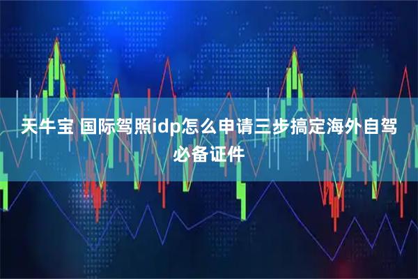天牛宝 国际驾照idp怎么申请三步搞定海外自驾必备证件