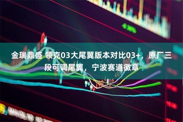 金瑞鼎盛 领克03大尾翼版本对比03+，原厂三段可调尾翼，宁波赛道徽章